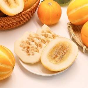 [엠픽] 대용량 고당도 못난이 성주 꿀참외 랜덤과 4kg