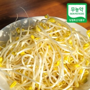 무농약 산소 콩나물 1kg/3kg