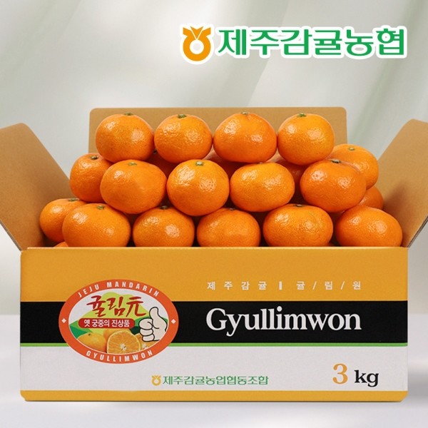 ★타임특가★ 제주농협 직송 제주 하우스감귤 3kg (2S~M)