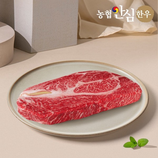 CJ프레시마켓,농협안심한우 1++등급 한우 등심 500g