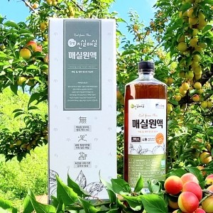 [여름보양식] 진실매실 매실원액 1000ml x 1병