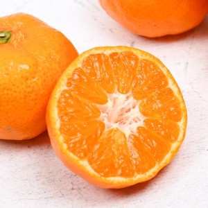 달콤새콤 제주 노지감귤 4.5kg (로얄과/2S~M사이즈)