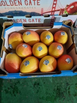 [26설날특가]애플망고 특대과 선물세트 9입   4kg 내외