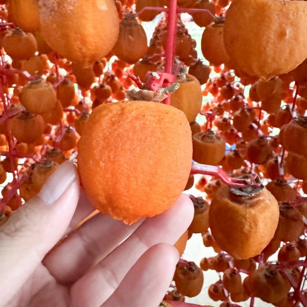 [엠픽] 단일농장 60일 자연건조 상주 햇 곶감 500g/1kg