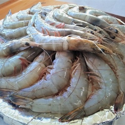 ★타임특가★[엠픽] 자연산 냉동 대하 프리미엄 특사이즈 500g/1kg