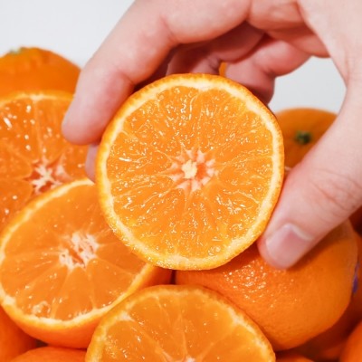 [엠픽] 로얄과만 선별해서 담은 프리미엄 고당도 만다린 감귤 1kg/2kg